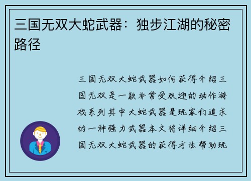 三国无双大蛇武器：独步江湖的秘密路径